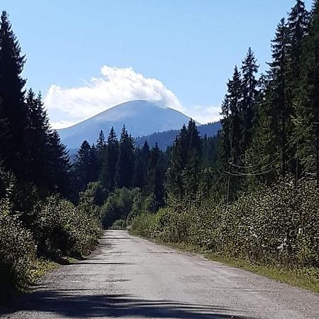 Говерлянка Villa Vorokhta Eksteriør billede