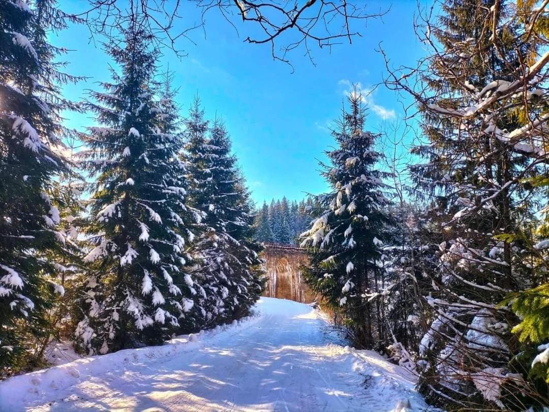 Говерлянка Villa Vorokhta Eksteriør billede